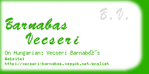 barnabas vecseri business card